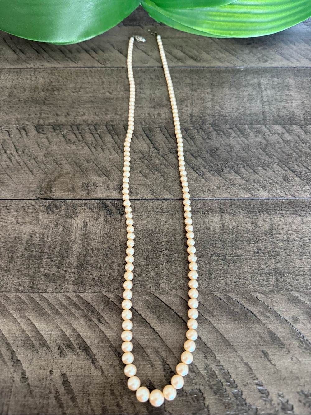Ivory Pearl Bead Necklace - Classic Women's Jewelry